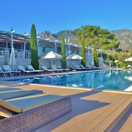 Boavista Lavanta Kalkan * קס
